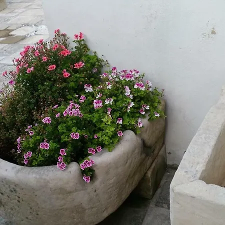 Bed & Breakfast Borgo Dei Filitti